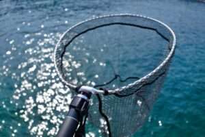 Introducing how to choose a landing net and recommended products!