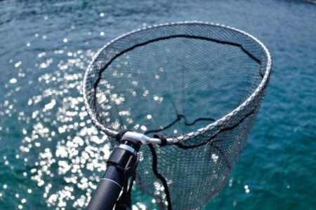 The role of the landing net and how to choose it! More convenient with a joint holder!