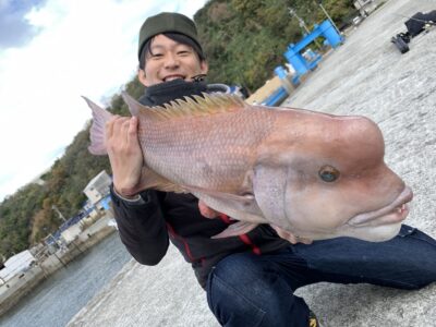 Are the humpbacks of Asian sheepshead wrasse only male? A mysterious fish that changes sex!