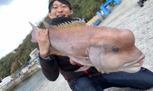 Let's fish for Asian sheepshead wrasse