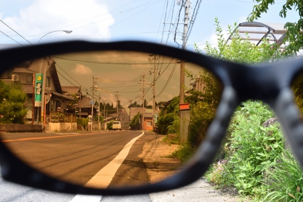 Role of polarized glasses