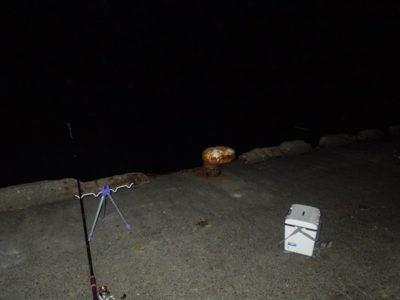 ヘッドランプは夜釣りで必須！