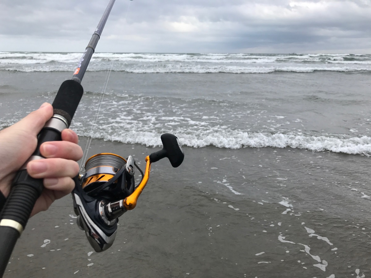 What elements are necessary for a shore jigging reel?