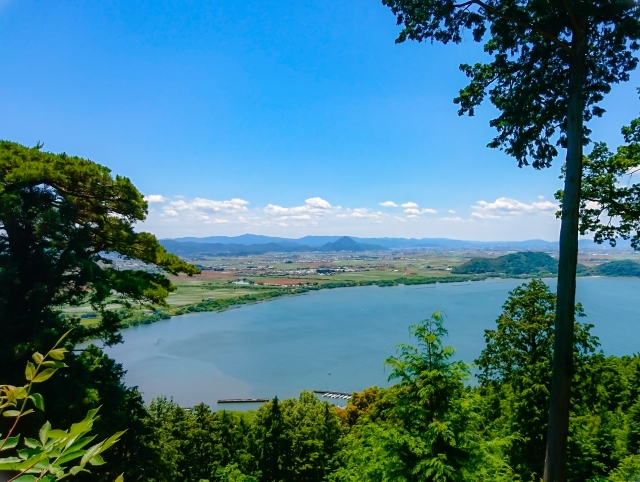 琵琶湖はワタカの原産地