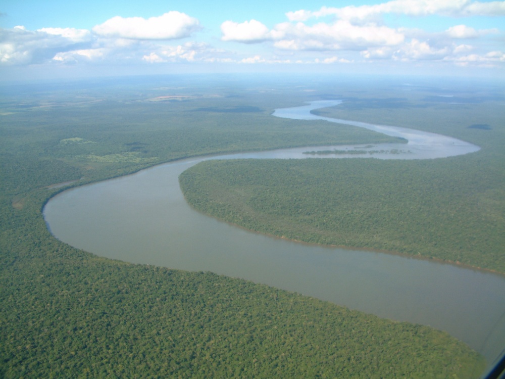 ピラルクの生息域は南米アマゾン流域