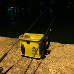 夜釣りは楽しい！