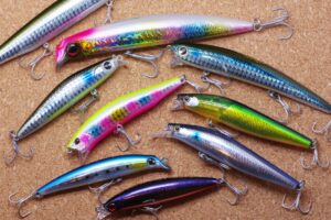 Types of minnows that can be used for seabass
