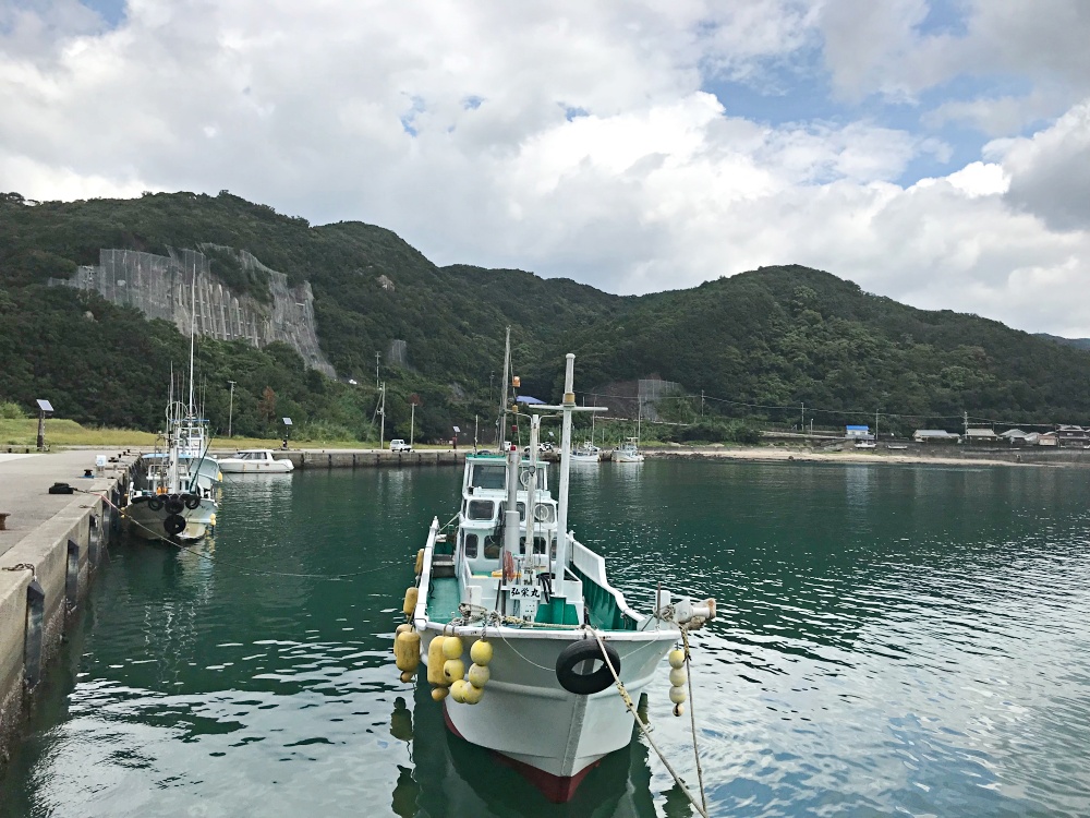 You can easily enjoy barracuda lure fishing at the fishing port!