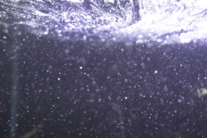 水槽の泡立ち：水面から泡が消えない原因と対処法